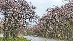 takano2-20250502160031.jpg