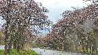 takano2-20250502161031.jpg