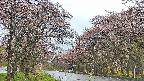 takano2-20250502162030.jpg