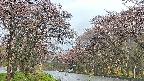 takano2-20250502163032.jpg