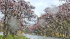 takano2-20250502164031.jpg