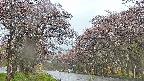 takano2-20250502165031.jpg