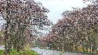takano2-20250502170030.jpg