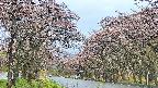 takano2-20250502172031.jpg