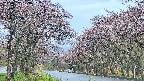 takano2-20250502173032.jpg