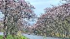 takano2-20250502174031.jpg