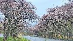 takano2-20250502175031.jpg