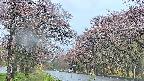 takano2-20250502180029.jpg