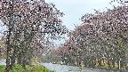 takano2-20250502181030.jpg