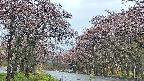 takano2-20250502182031.jpg