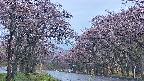 takano2-20250502183029.jpg