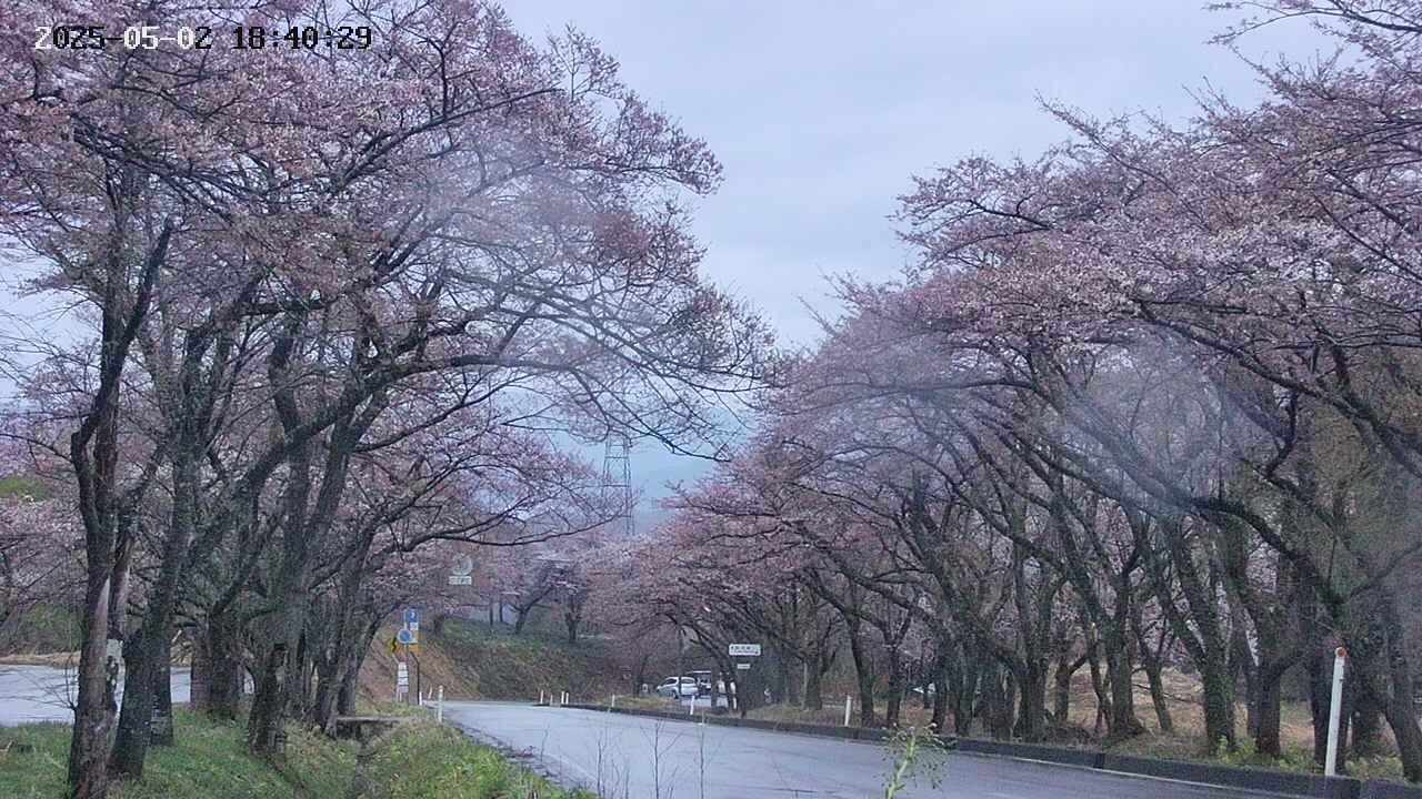 takano2-20250502184031.jpg