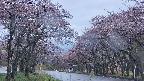 takano2-20250502184031.jpg