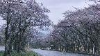takano2-20250502185030.jpg