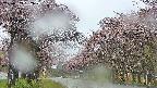 takano2-20250503052029.jpg