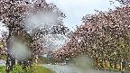 takano2-20250503053030.jpg