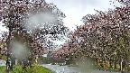takano2-20250503054030.jpg