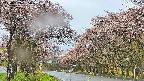 takano2-20250503055030.jpg