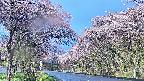 takano2-20250503060030.jpg
