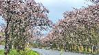 takano2-20250503062029.jpg