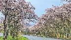 takano2-20250503063029.jpg