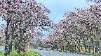 takano2-20250503064028.jpg