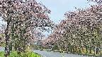 takano2-20250503065028.jpg