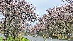 takano2-20250503070029.jpg