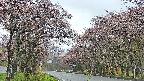 takano2-20250503071030.jpg