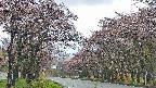 takano2-20250503072030.jpg