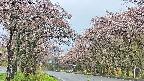 takano2-20250503073030.jpg