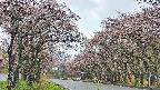 takano2-20250503081030.jpg