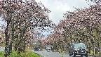 takano2-20250503082029.jpg