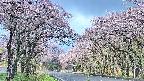 takano2-20250503083031.jpg