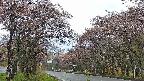 takano2-20250503084030.jpg