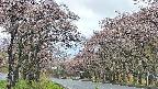 takano2-20250503085030.jpg