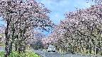 takano2-20250503090030.jpg