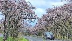 takano2-20250503091030.jpg