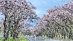 takano2-20250503092029.jpg