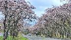 takano2-20250503093031.jpg