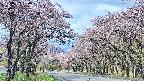 takano2-20250503094030.jpg