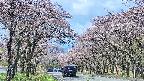 takano2-20250503095029.jpg