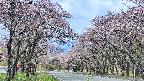 takano2-20250503100030.jpg