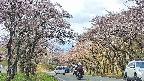 takano2-20250503101031.jpg