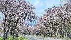 takano2-20250503102028.jpg