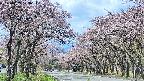 takano2-20250503103032.jpg