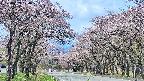 takano2-20250503104030.jpg