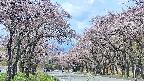 takano2-20250503105030.jpg