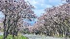 takano2-20250503110030.jpg
