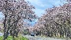 takano2-20250503112030.jpg